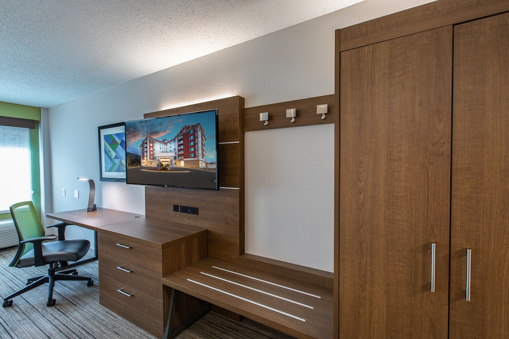 Holiday Inn Express and Suites Asheville Downtown 37/50