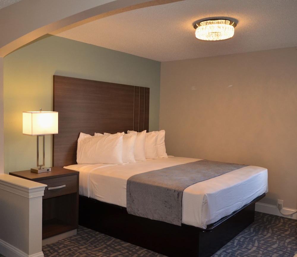 Opal Hotel and Suites 18/50