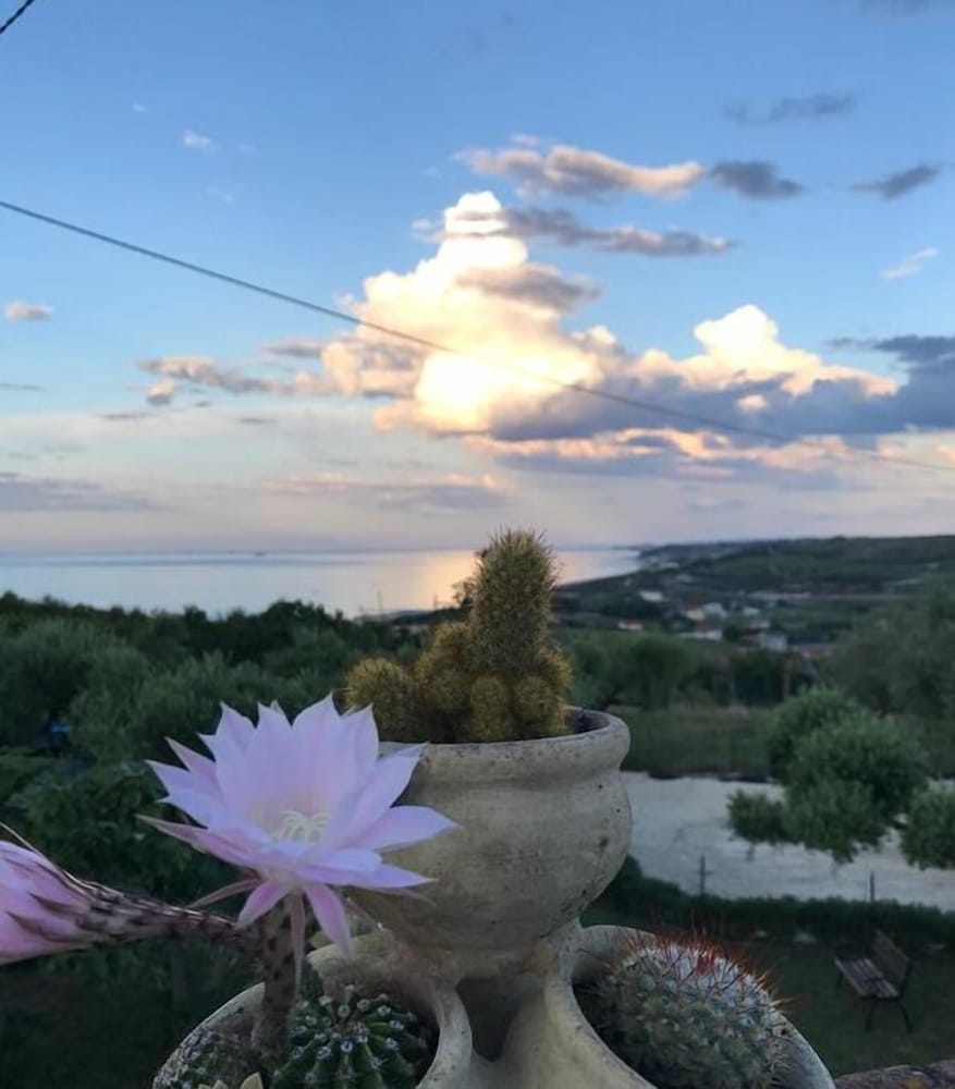 Il Giardino Fra Gli Ulivi 44/56