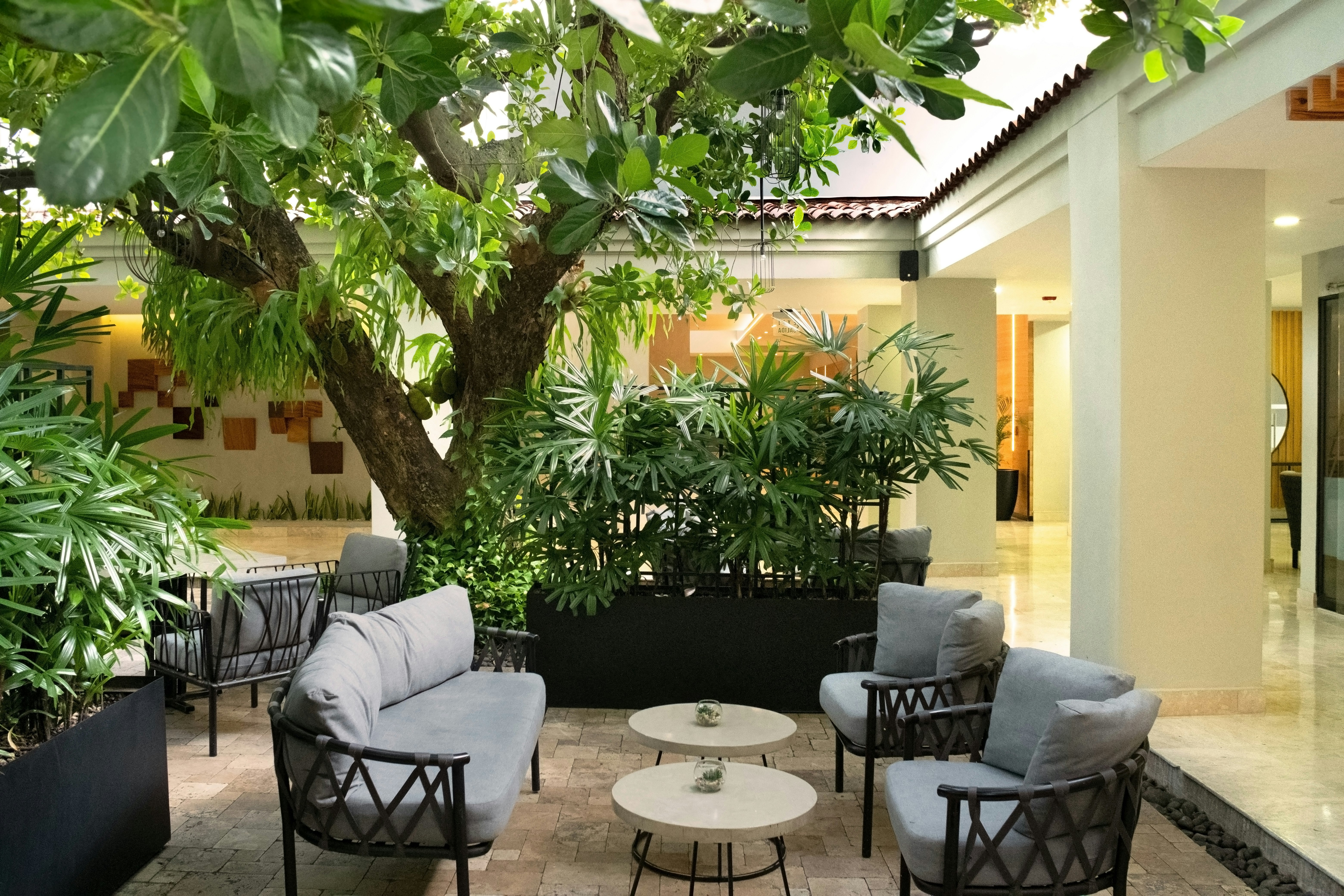 Hilton San Salvador 30/48