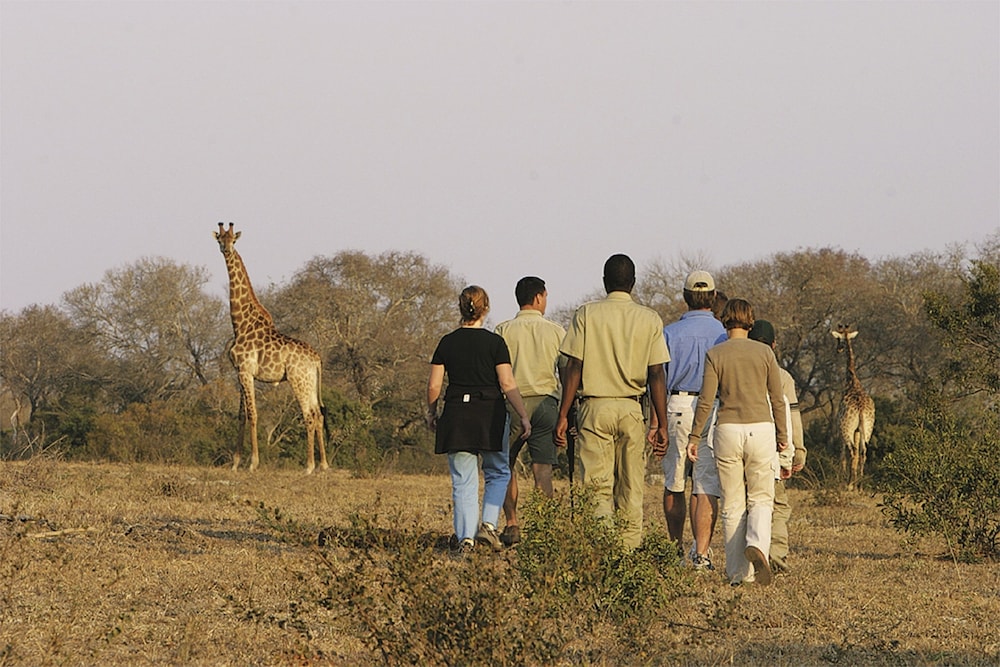 Elephant Plains Game Lodge 24/31