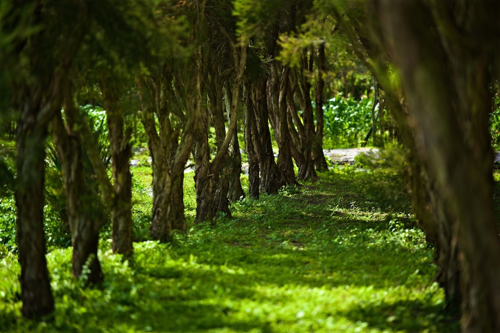GAEAVILLA RESORT HUALIEN 43/50