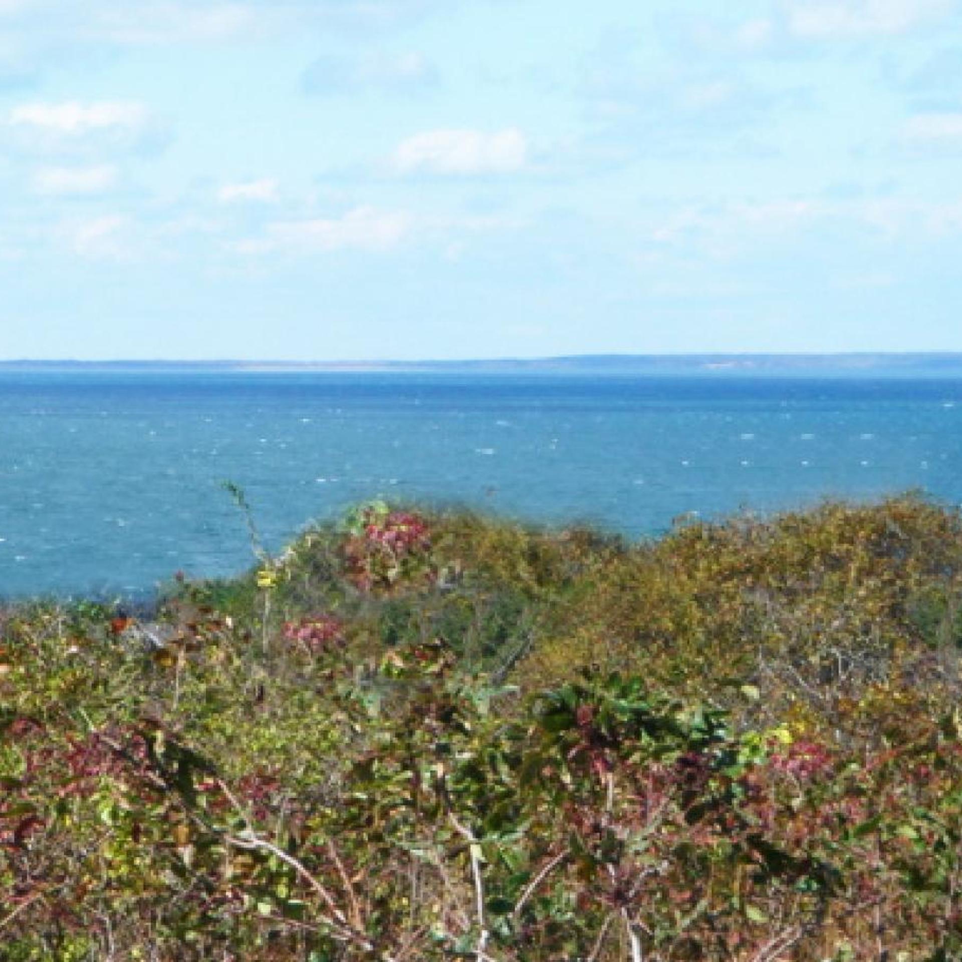 Montauk Manor 38/50