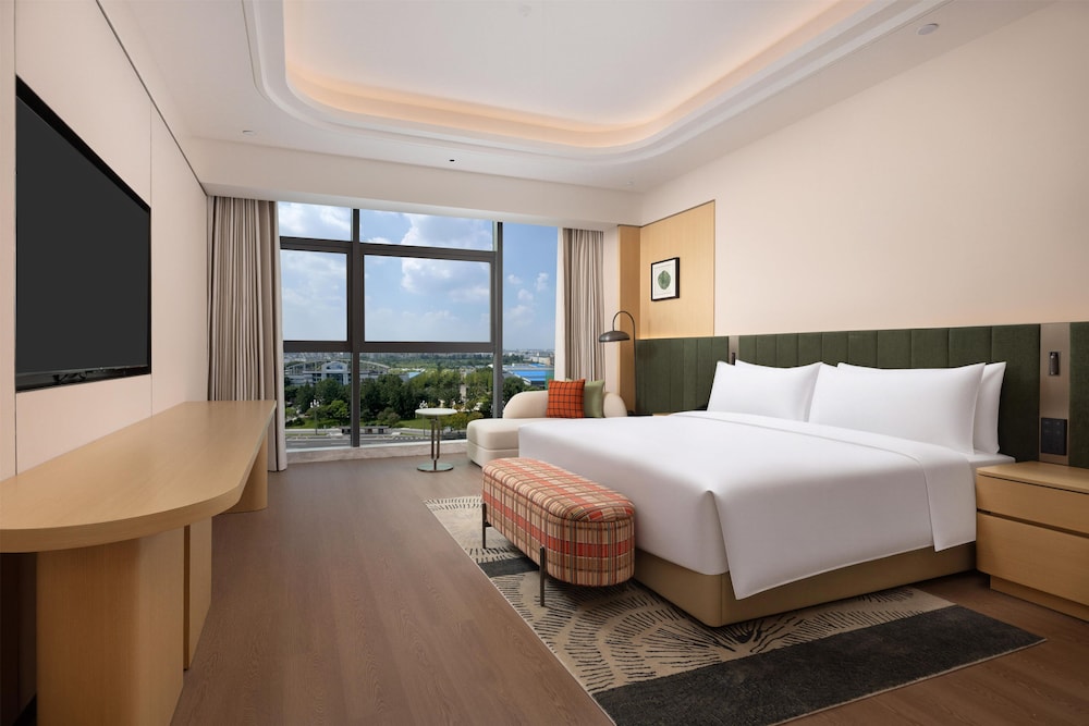 Hilton Garden Inn Chengdu Shuangliu International Airport 17/50