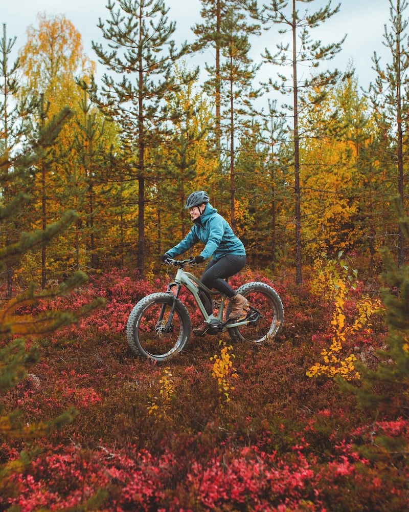 Apukka Resort 29/50