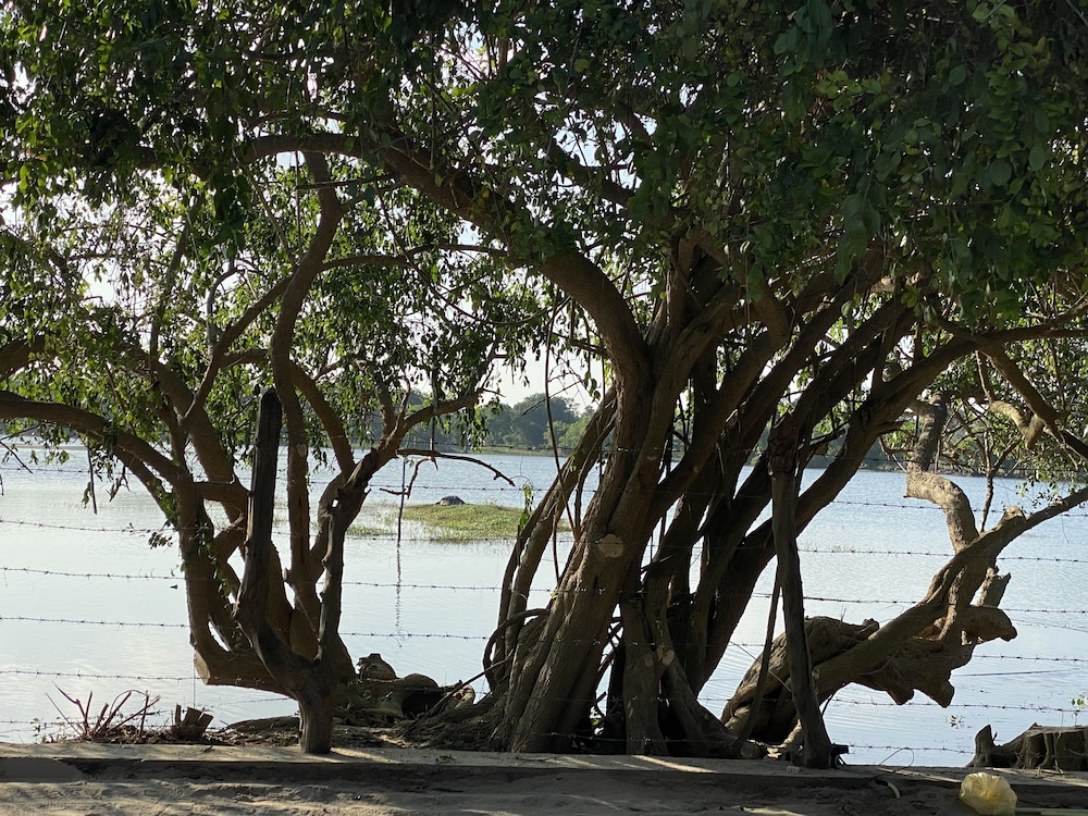 Yala Lake View Cabanas 16/28