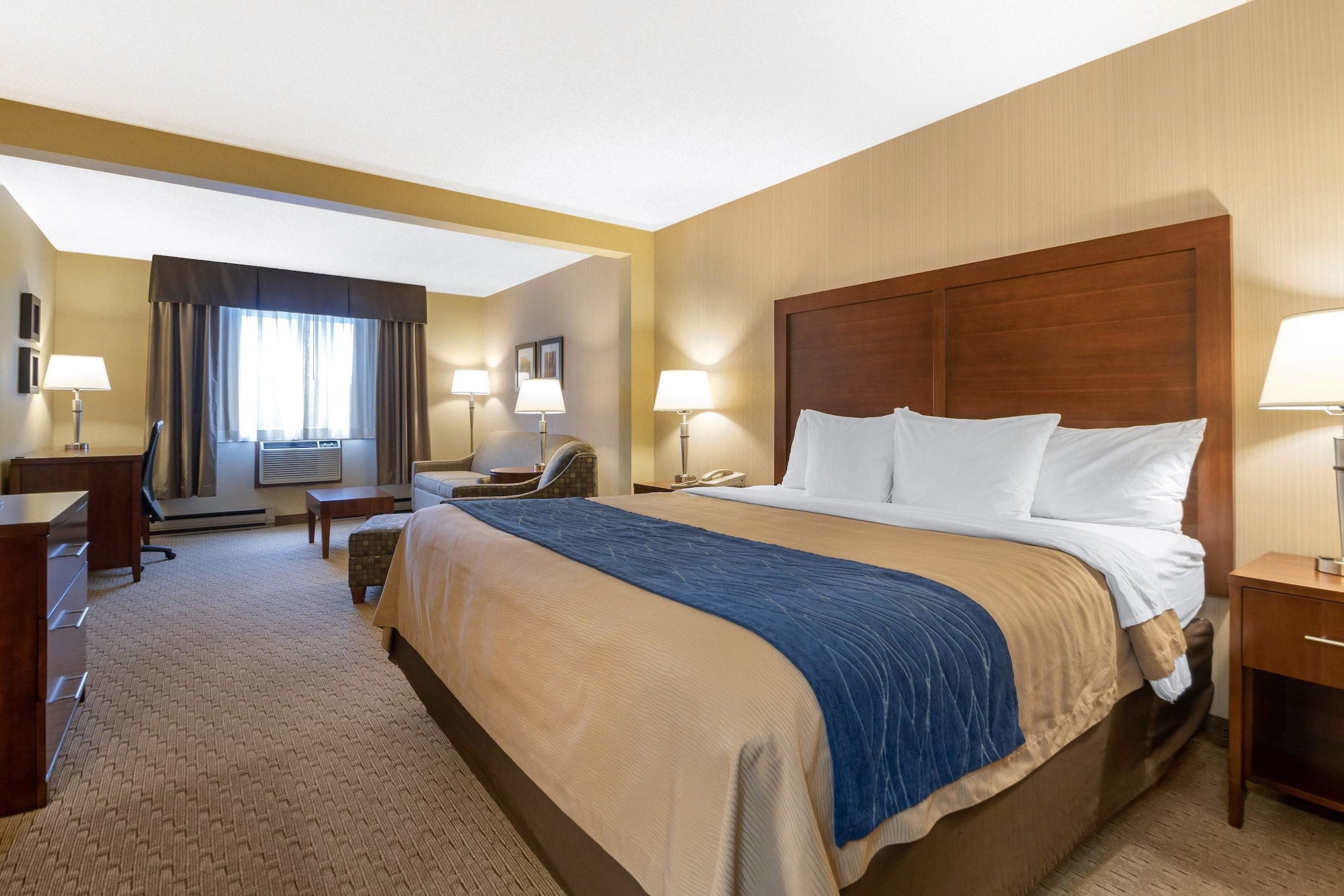 Suite, King Bed, Sofa