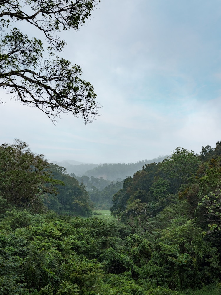 Coorg Marriott Resort & Spa 48/50