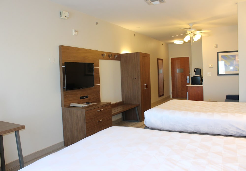 Holiday Inn Express Hotel and Suites Mansfield 21/52