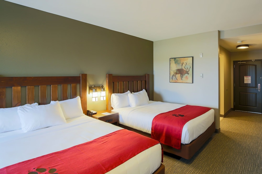 Great Wolf Lodge Illinois 14/46