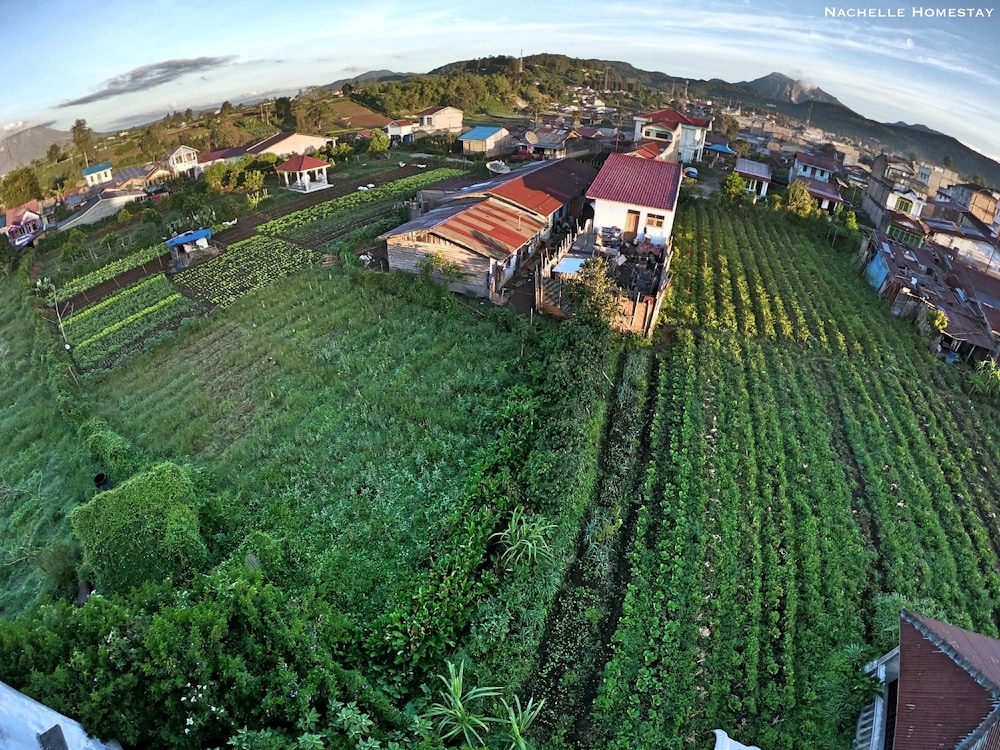 Berastagi Nachelle Homestay 38/50