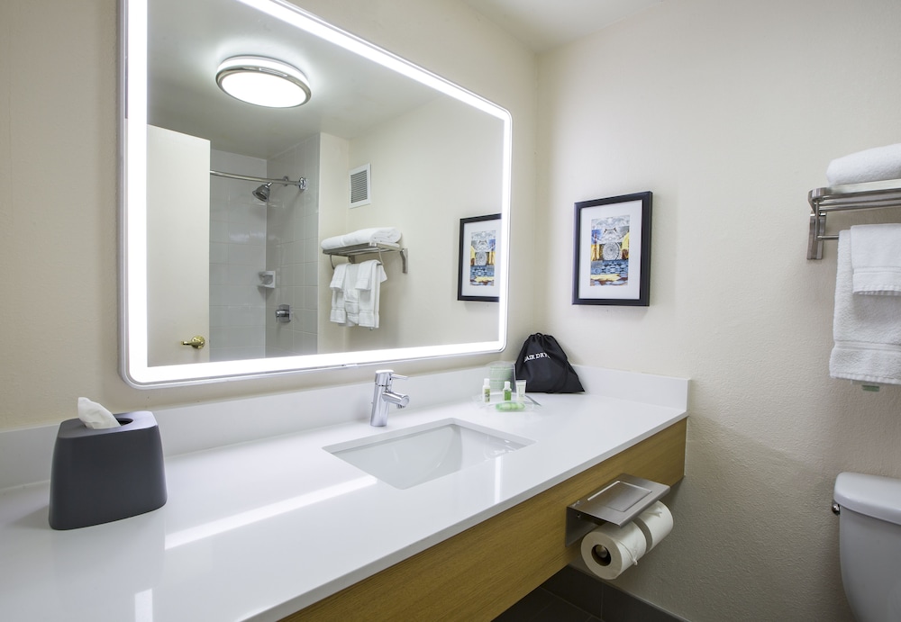 Holiday Inn & Suites Chicago North Shore (Skokie) 26/55