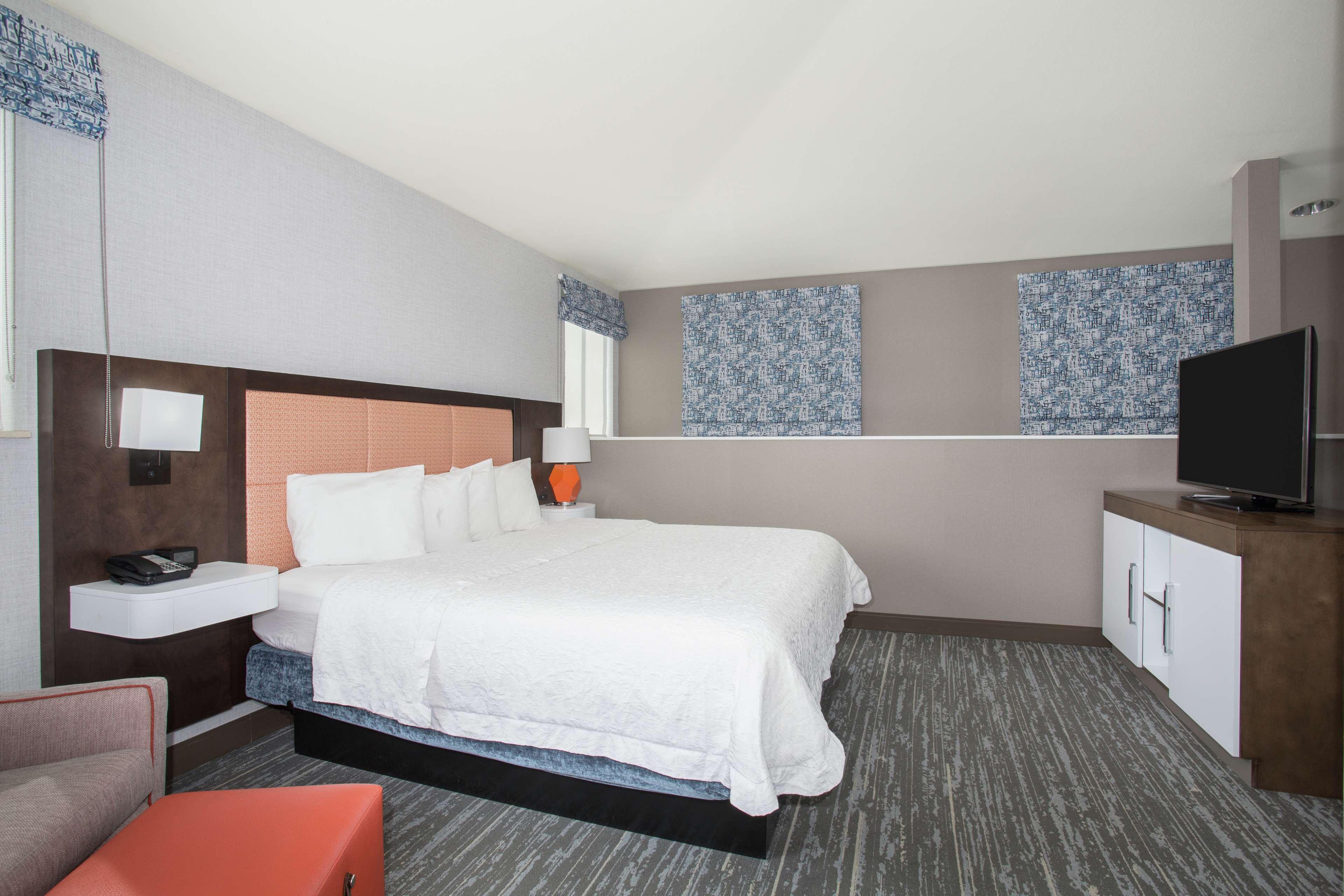 BI LEVEL, SUITE, KING BED, SOFA