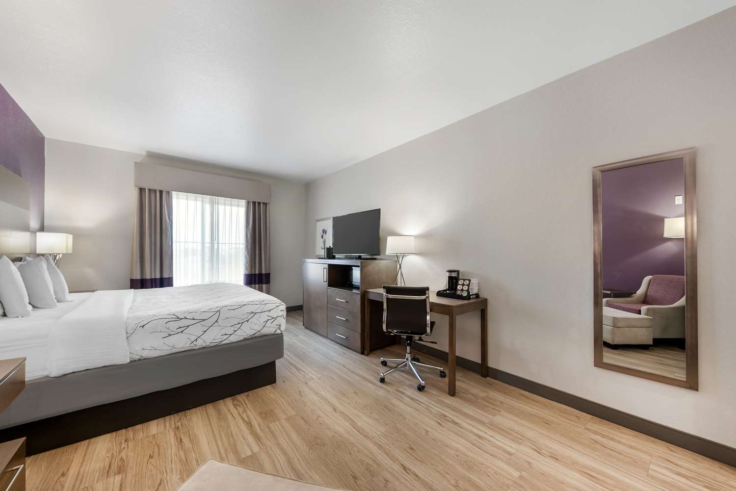Best Western Plus Buda Austin Inn and Suites 8/35