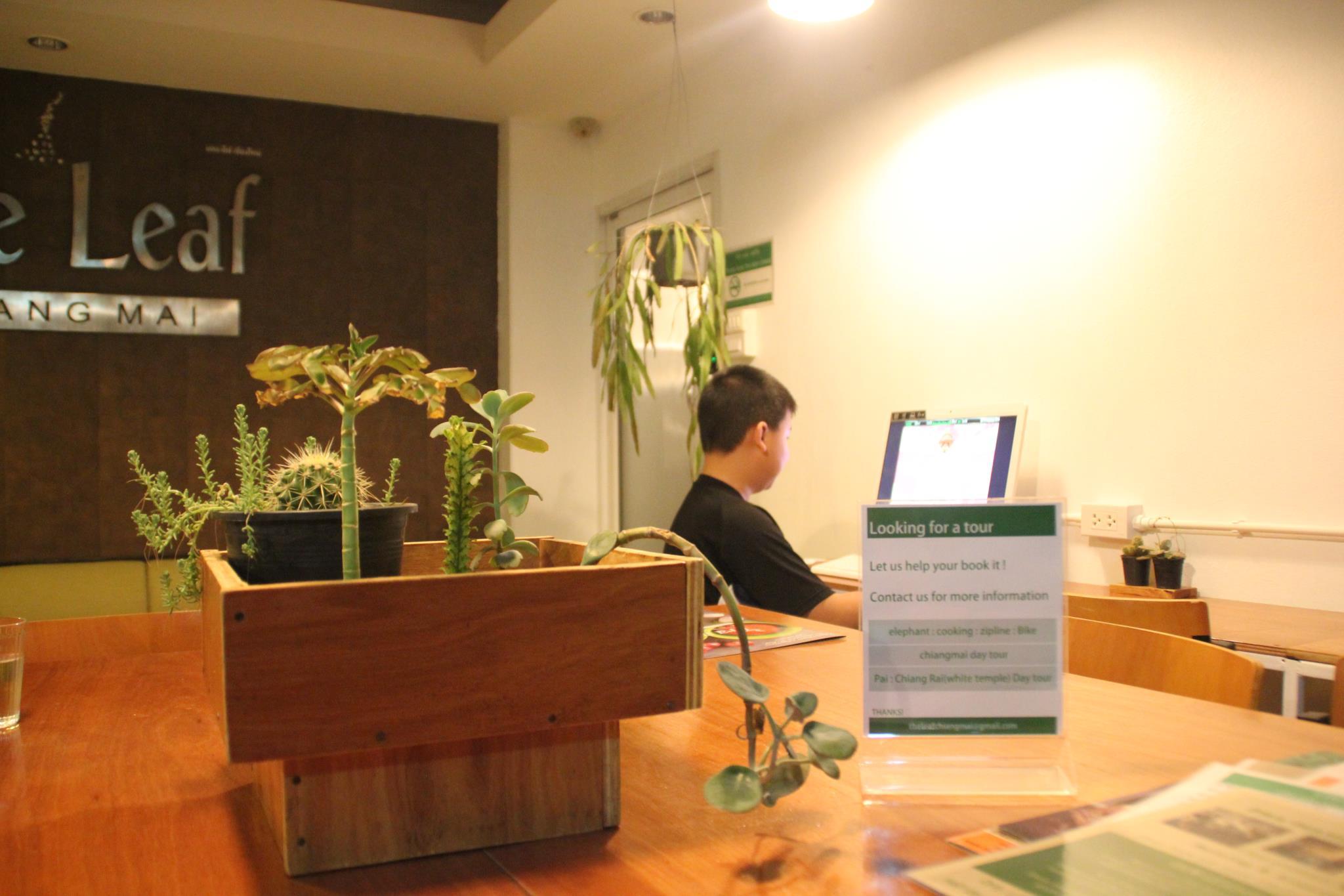 The Leaf Service Apartment 25/33