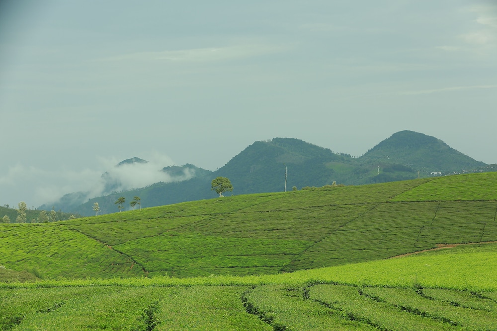 Sunvalley Homestay 23/32