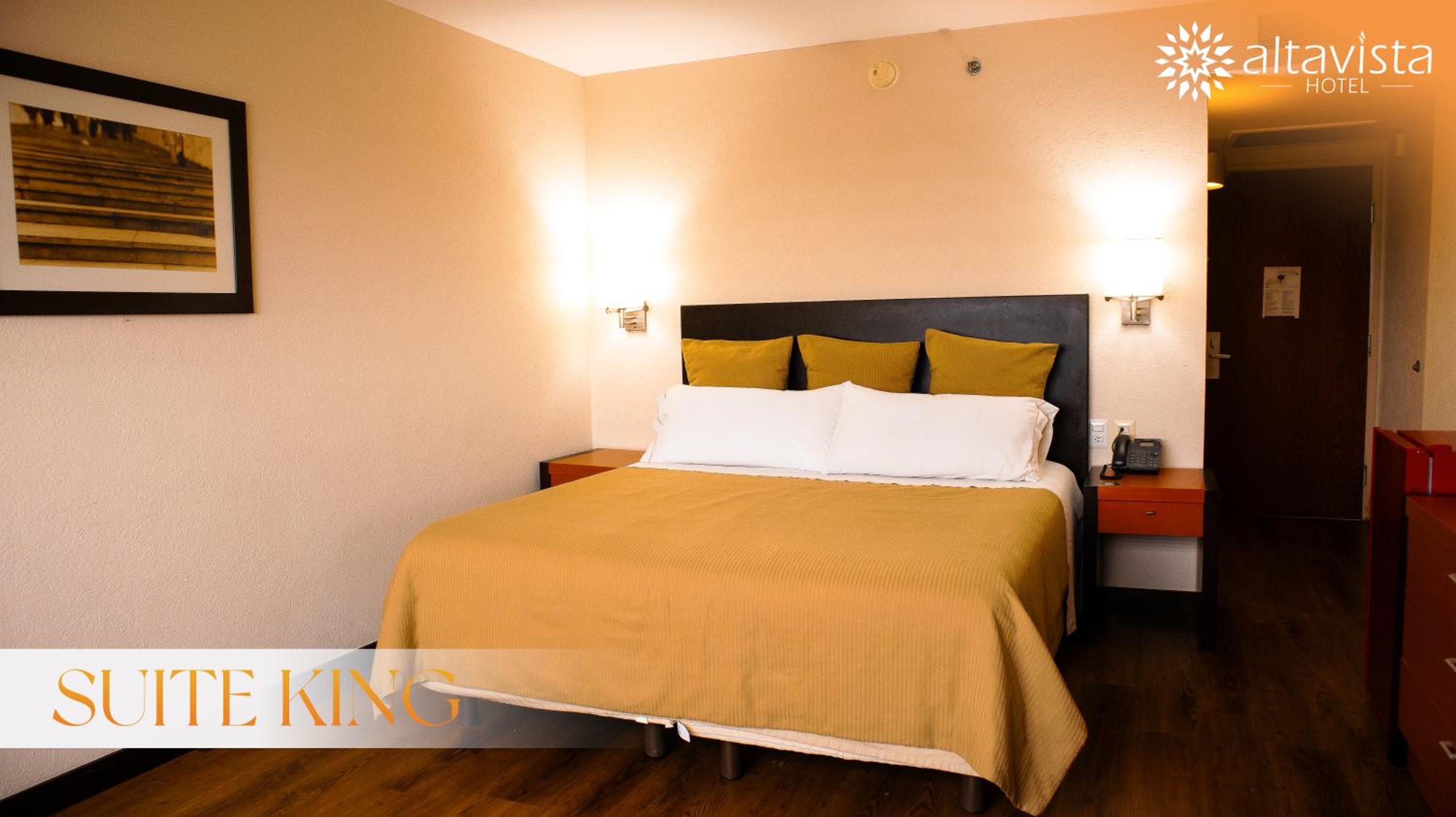 Fiesta Inn Reynosa 9/56