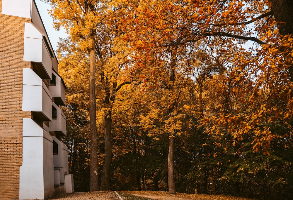 Hotel Wolski 66/67