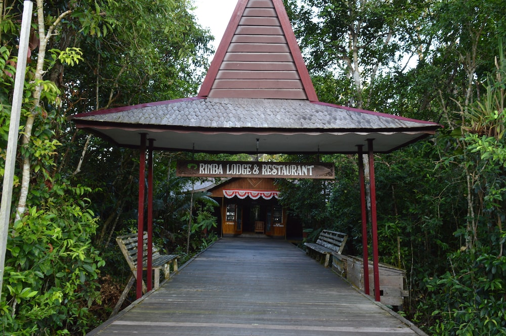 Rimba Orangutan Eco Lodge 1/43