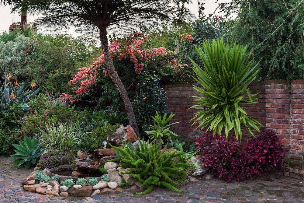 Paradise Found 35/49