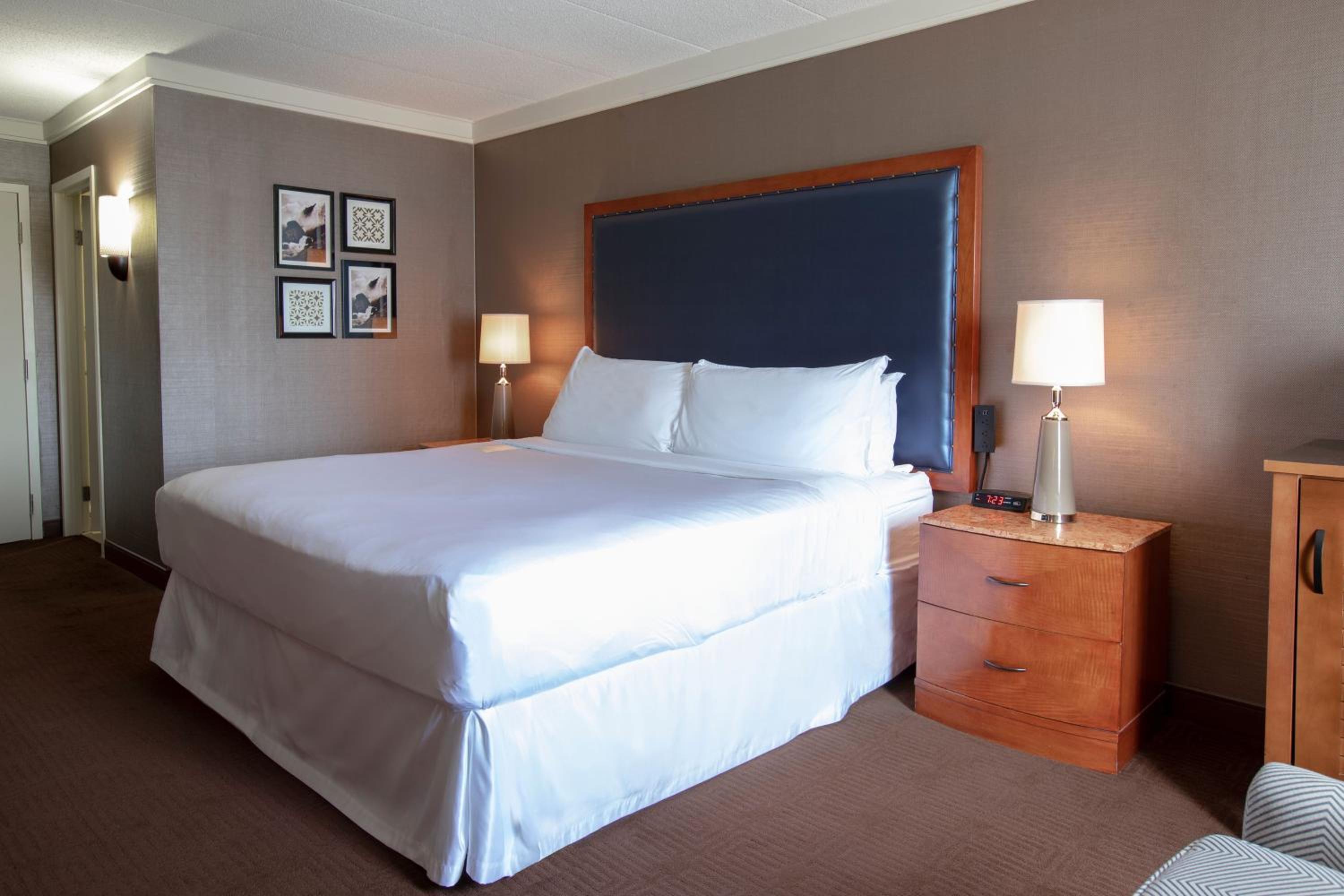 غرفة بسرير كينج، Sheraton Niagara Falls New York 3/16