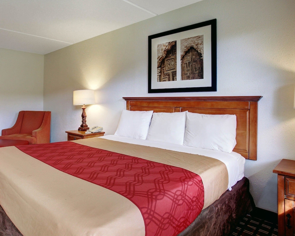 ROOM, KING BED, ACCESSIBLE