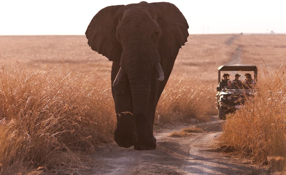Nambiti Hills Private Game Lodge 40/50