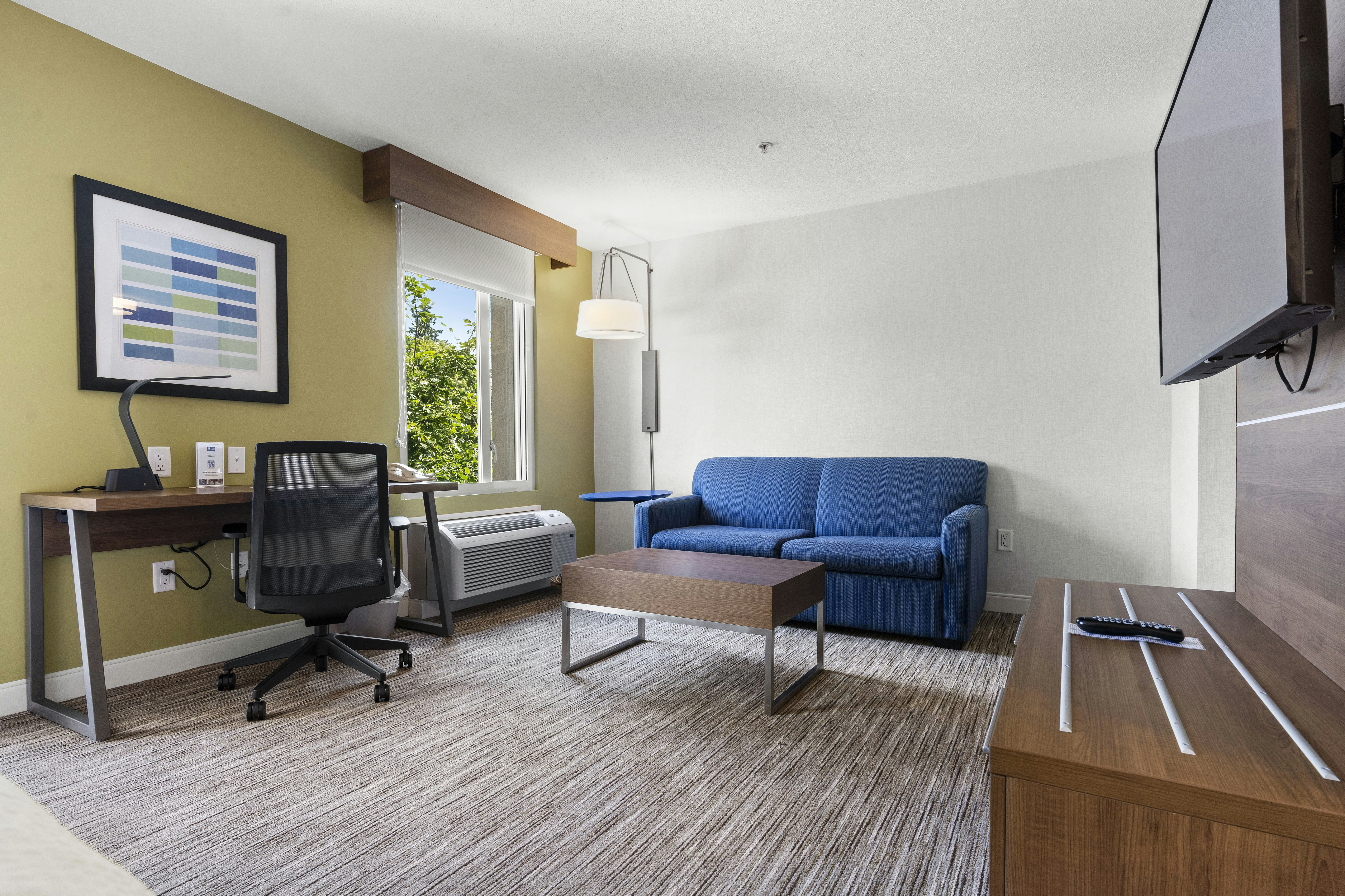 Holiday Inn Express Suites Surrey 31/50