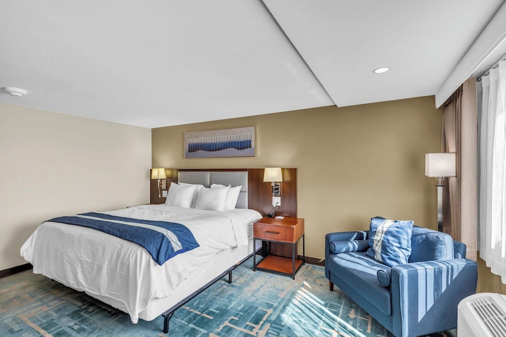 COMFORT, SINGLE, KING BED