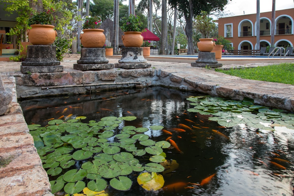 Hacienda Uxmal 21/49