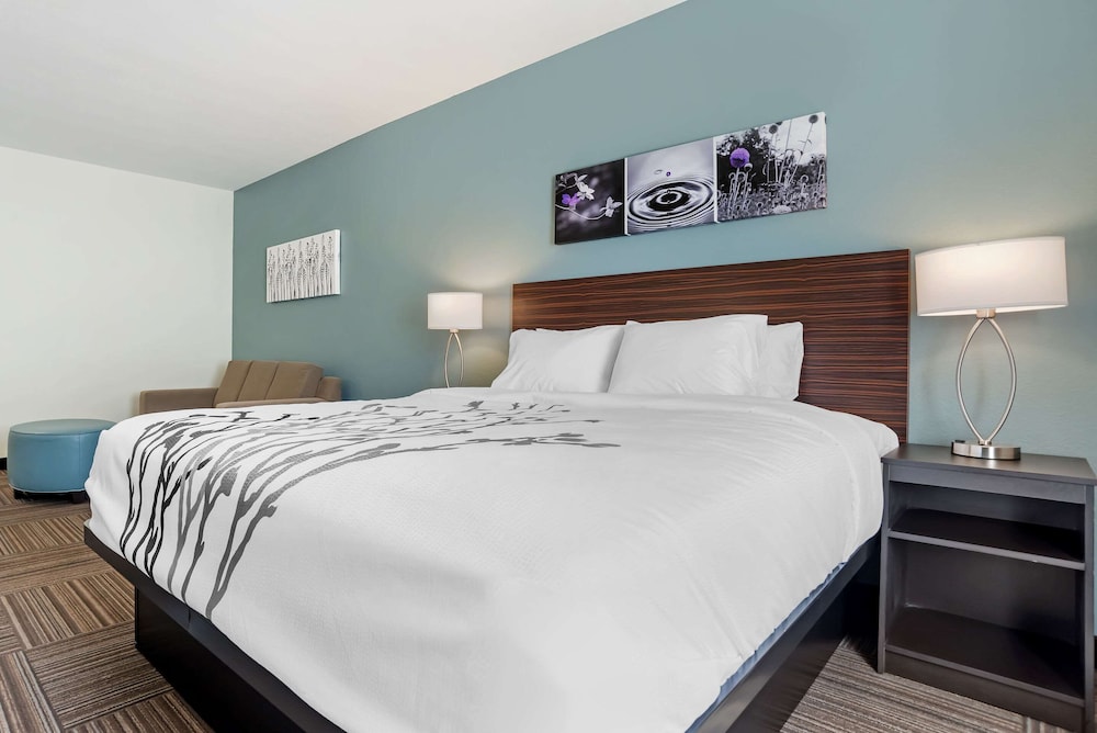 SUITE, KING BED, ACCESSIBLE