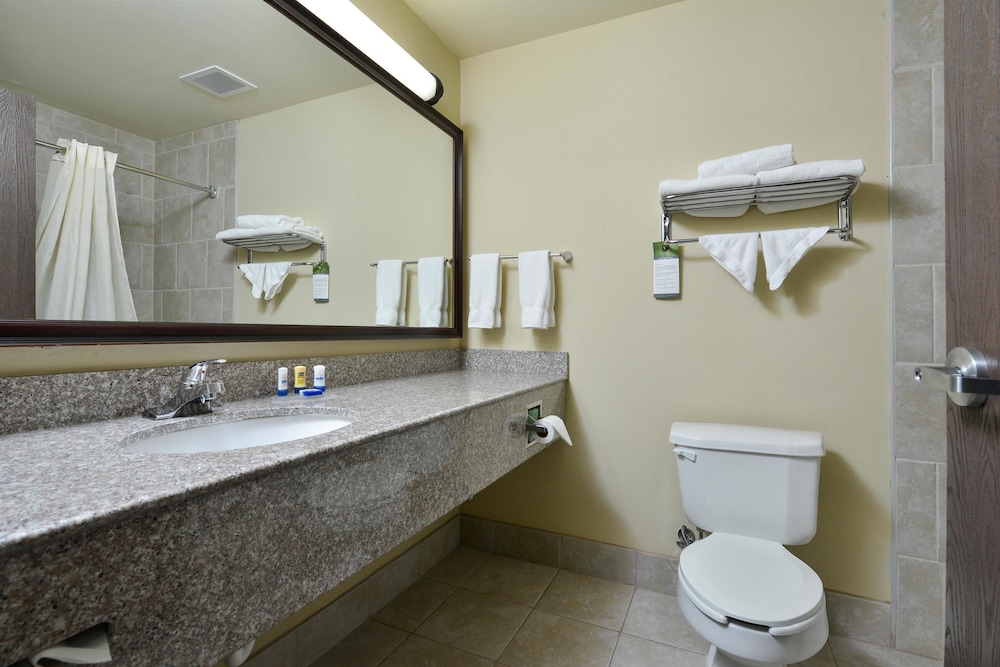 Best Western Plus Burleson Inn & Suites 11/32