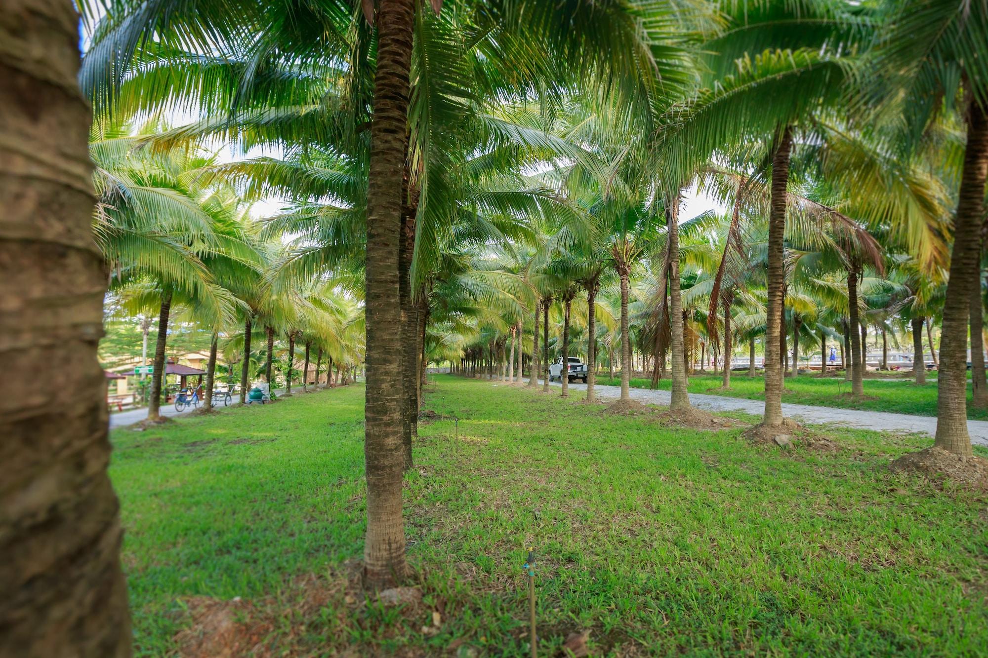 Coconut Resort 53/74