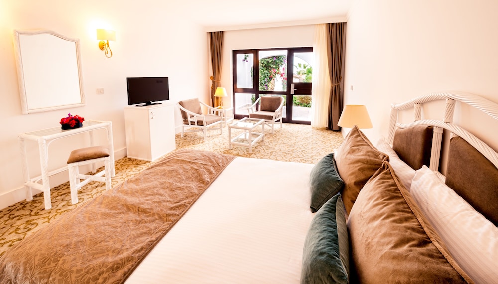 The Olive Tree Hotel 15/50
