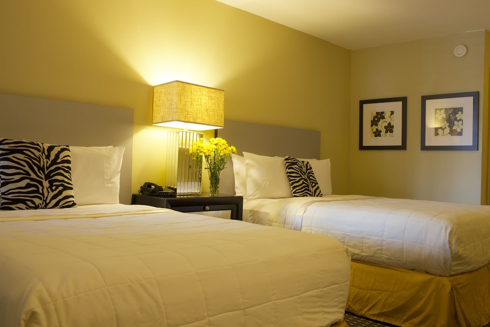 Sole Inn and Suites 5/32
