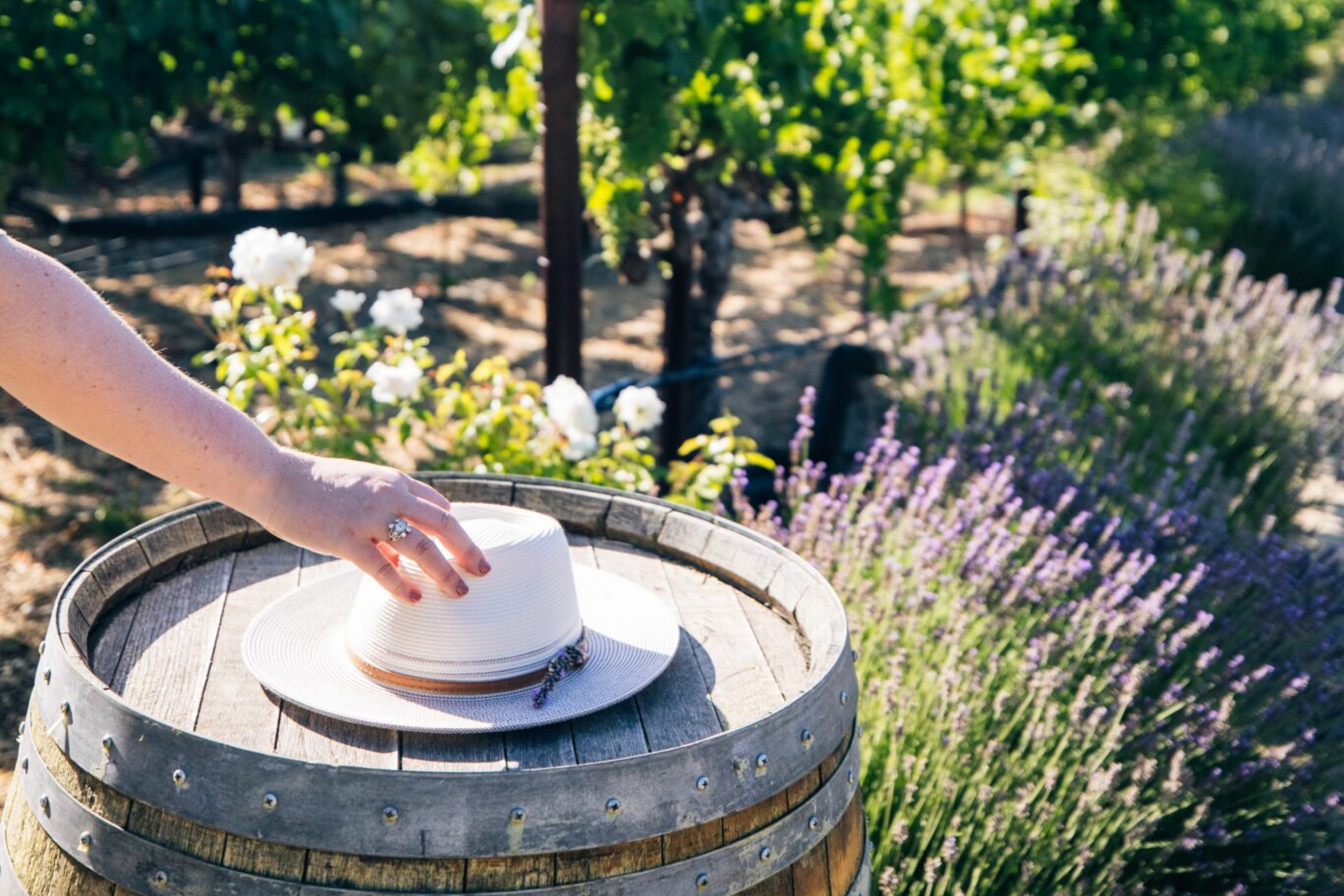 The Estate Yountville 48/50