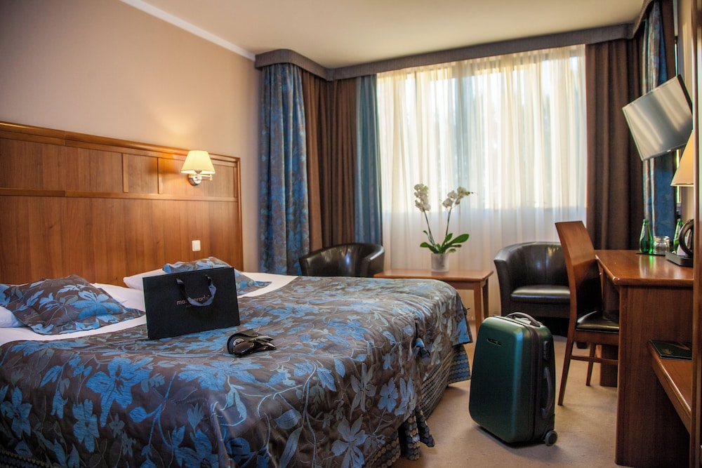 Farmona Hotel Business and Spa 17/61