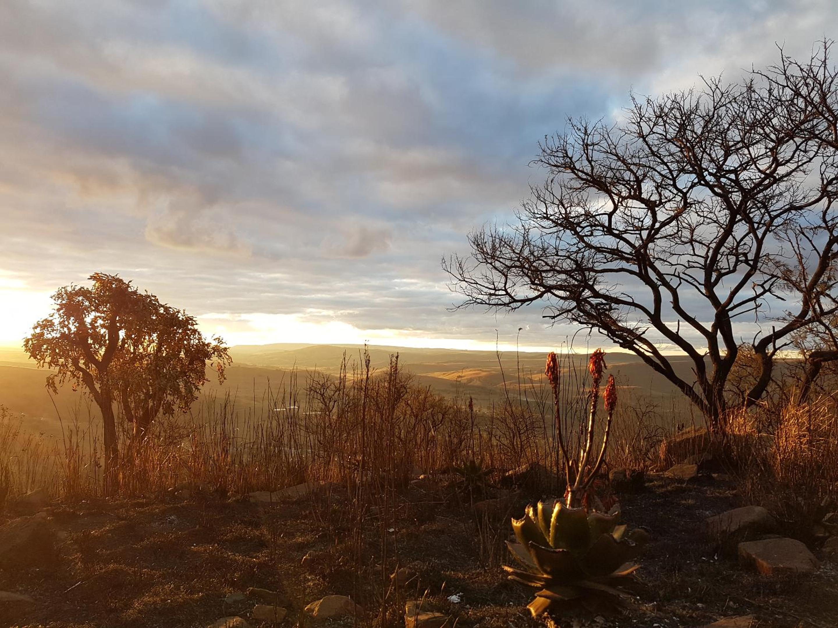 Tegwaan Country Getaway 17/44