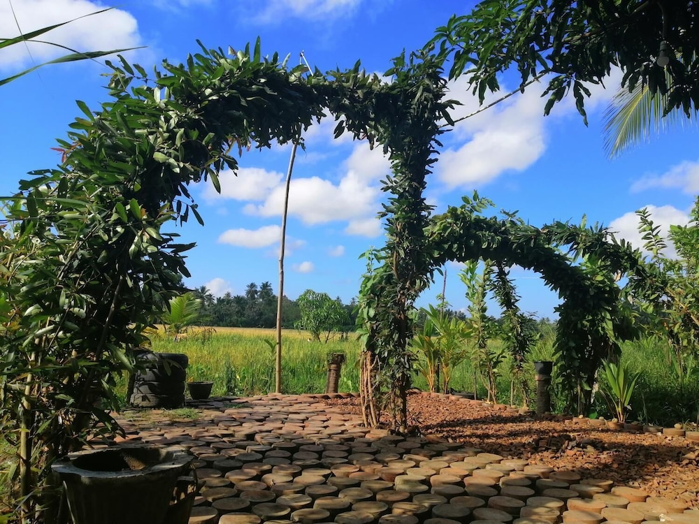 Viveka Inn Guest 21/43