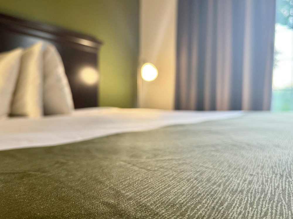 Quality Inn & Suites Alexandria MN 29/31