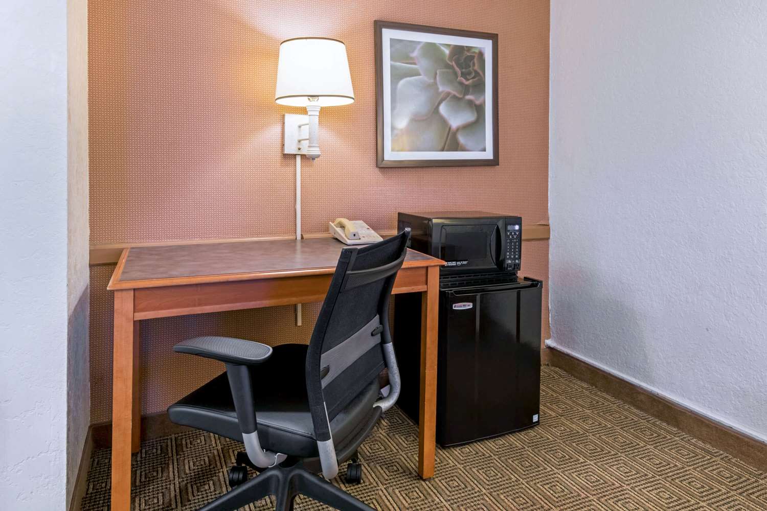 La Quinta Inn San Antonio I 35 N At Rittiman Road 39/46