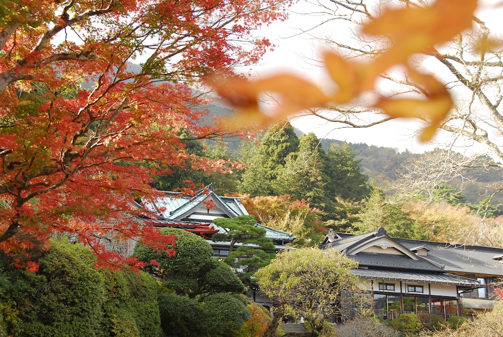 Hakone Kowakien Mikawaya Ryokan 38/45