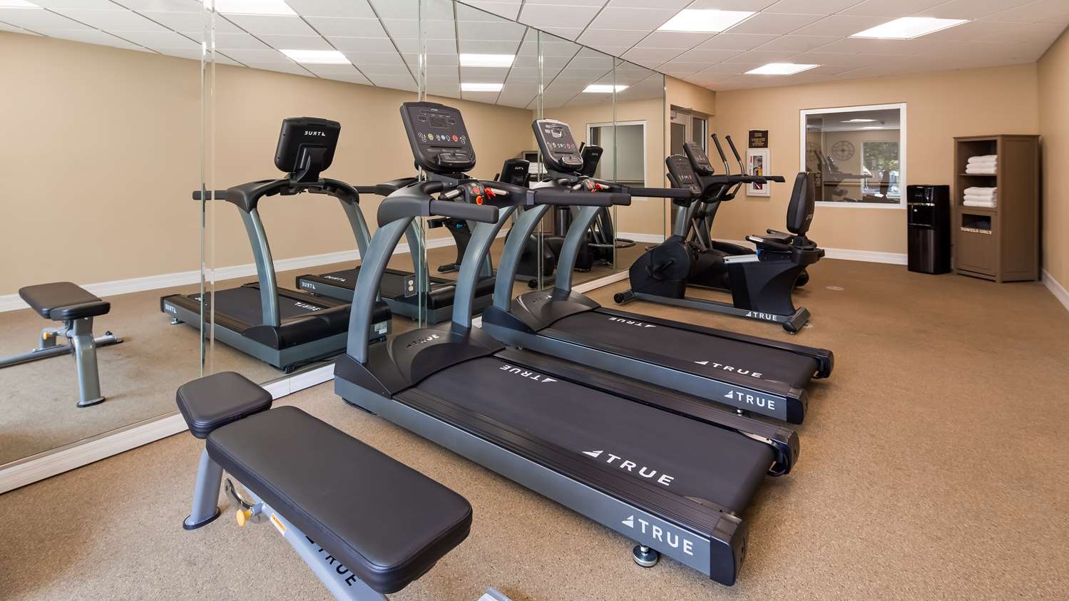 Best Western Plus Ambassador Suites Venice 21/40