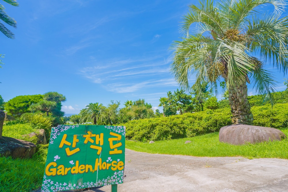 Jeju Jungmun Log Pension Resort 37/50