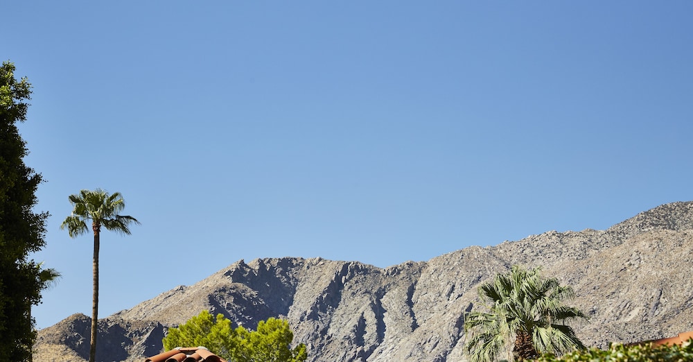 Avalon Hotel And Bungalows Palm Springs 11/85