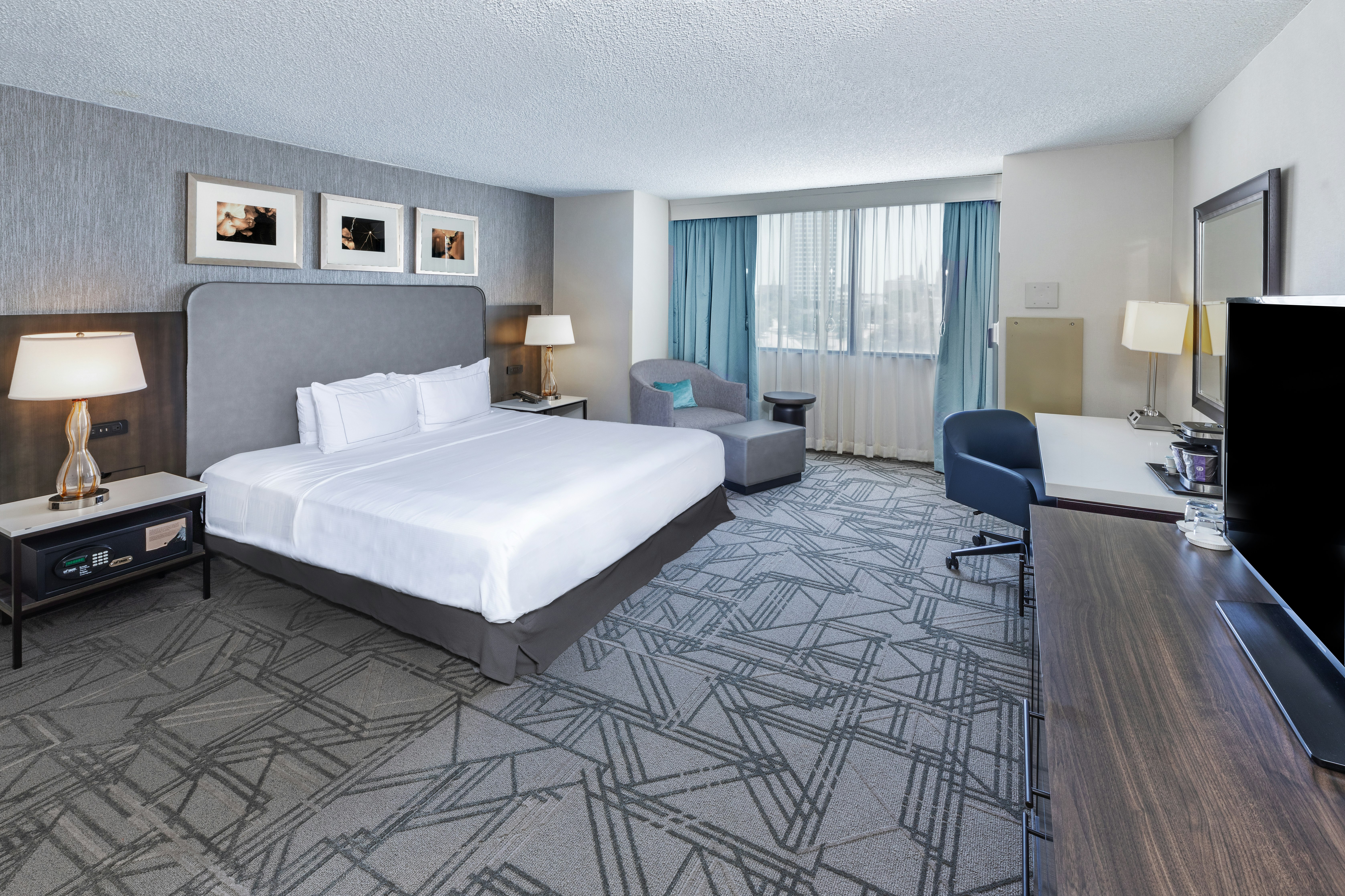 ROOM, KING BED, ACCESSIBLE