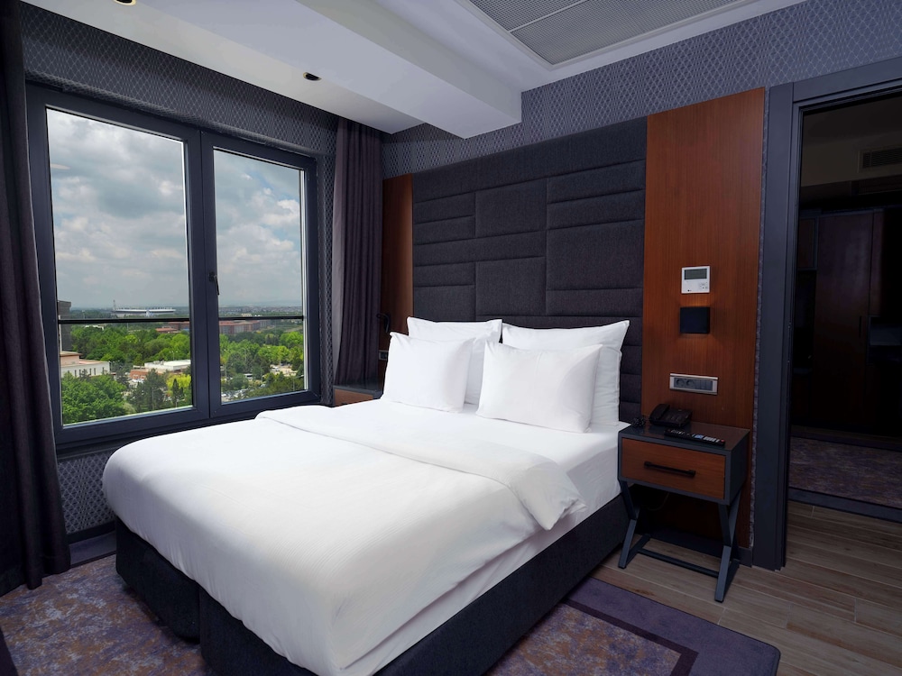 Nova Vista Deluxe and Suites Eskisehir, a member of Radisson Individuals 9/48