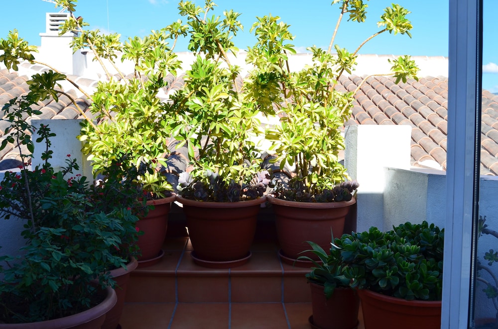 Apartamentos San Pablo 64/67