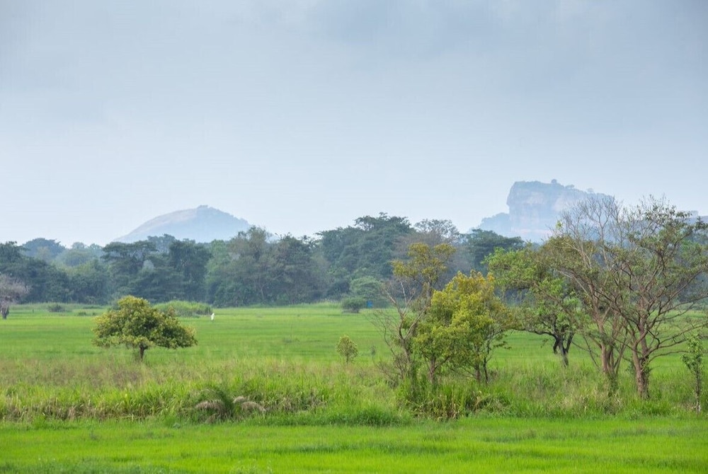 The Hideout Sigiriya 37/50