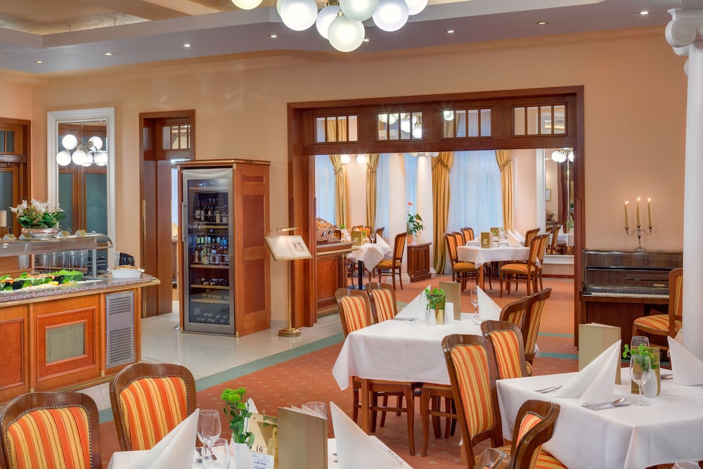 Centralni Lazne Ensana Health Spa Hotel 33/49